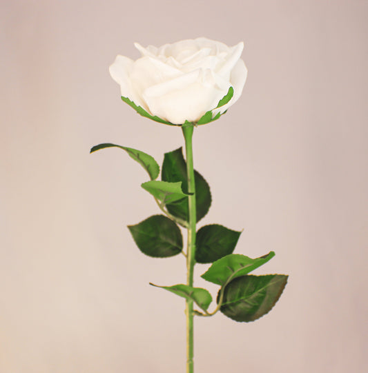 White Large Real Touch Rose - Realistic Artificial Flowers