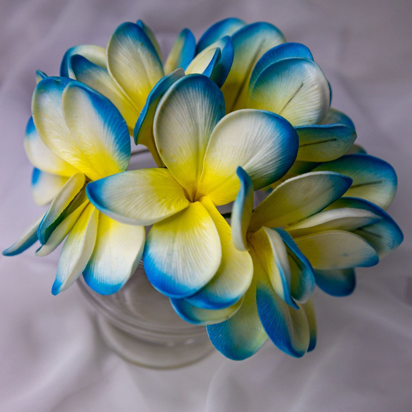 artificial skye blue frangipani flowers placed in transparent glass vase