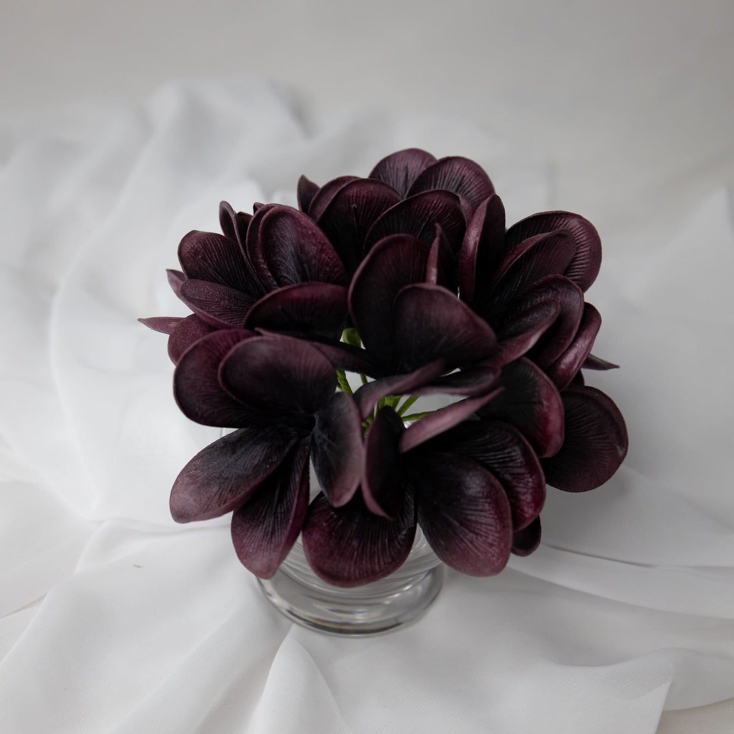 Midnight Frangipani Flowerhead ( 6 Pack )- Realistic Artificial Flowers