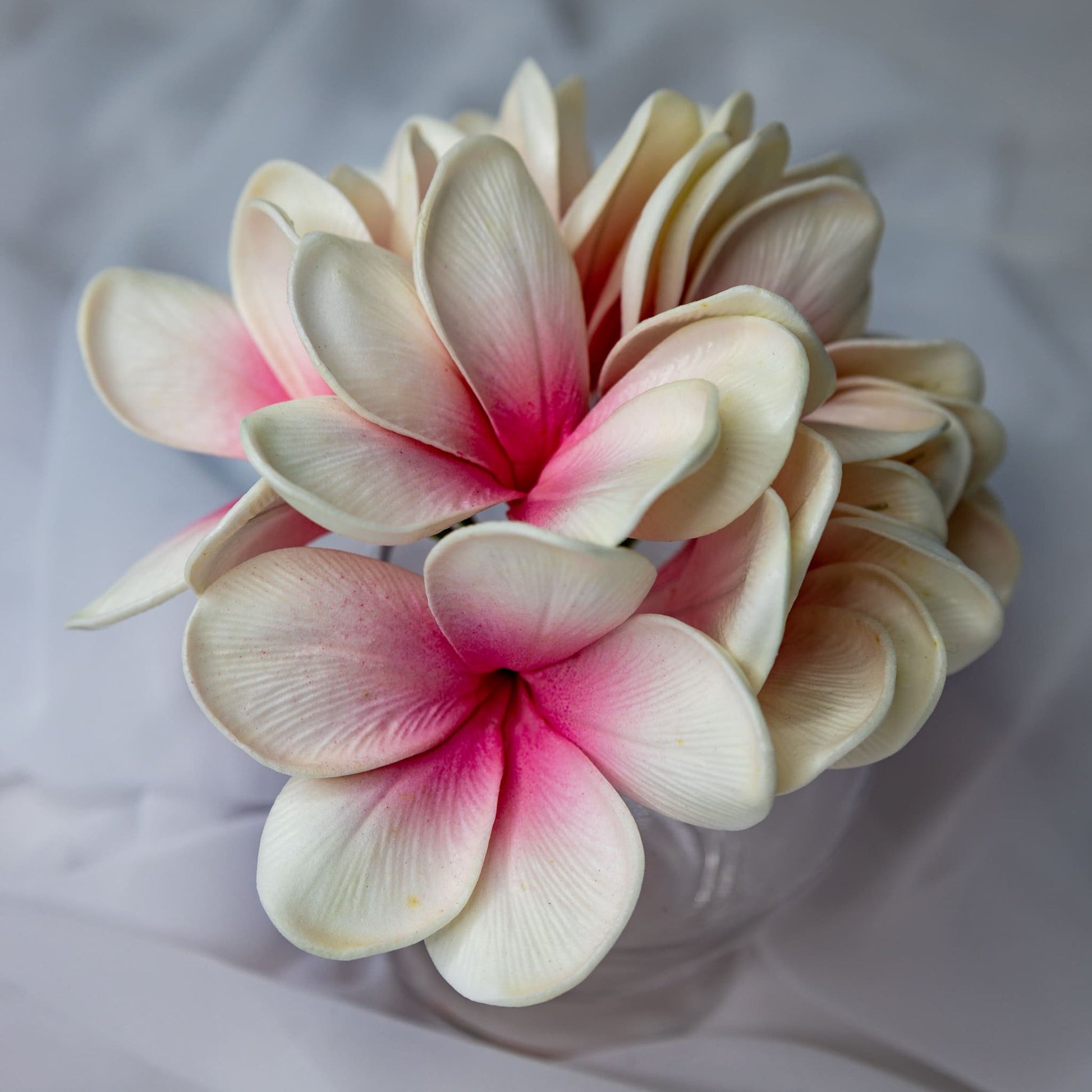 artificial white pink frangipani flowers placed in transparent glass vase