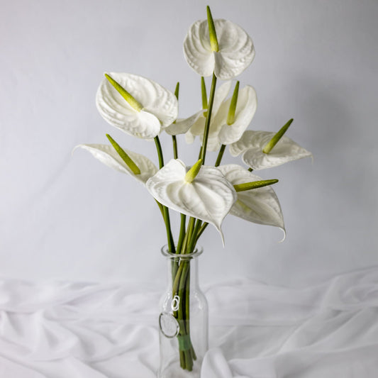 artificial white anthurium placed in transparent glass vase