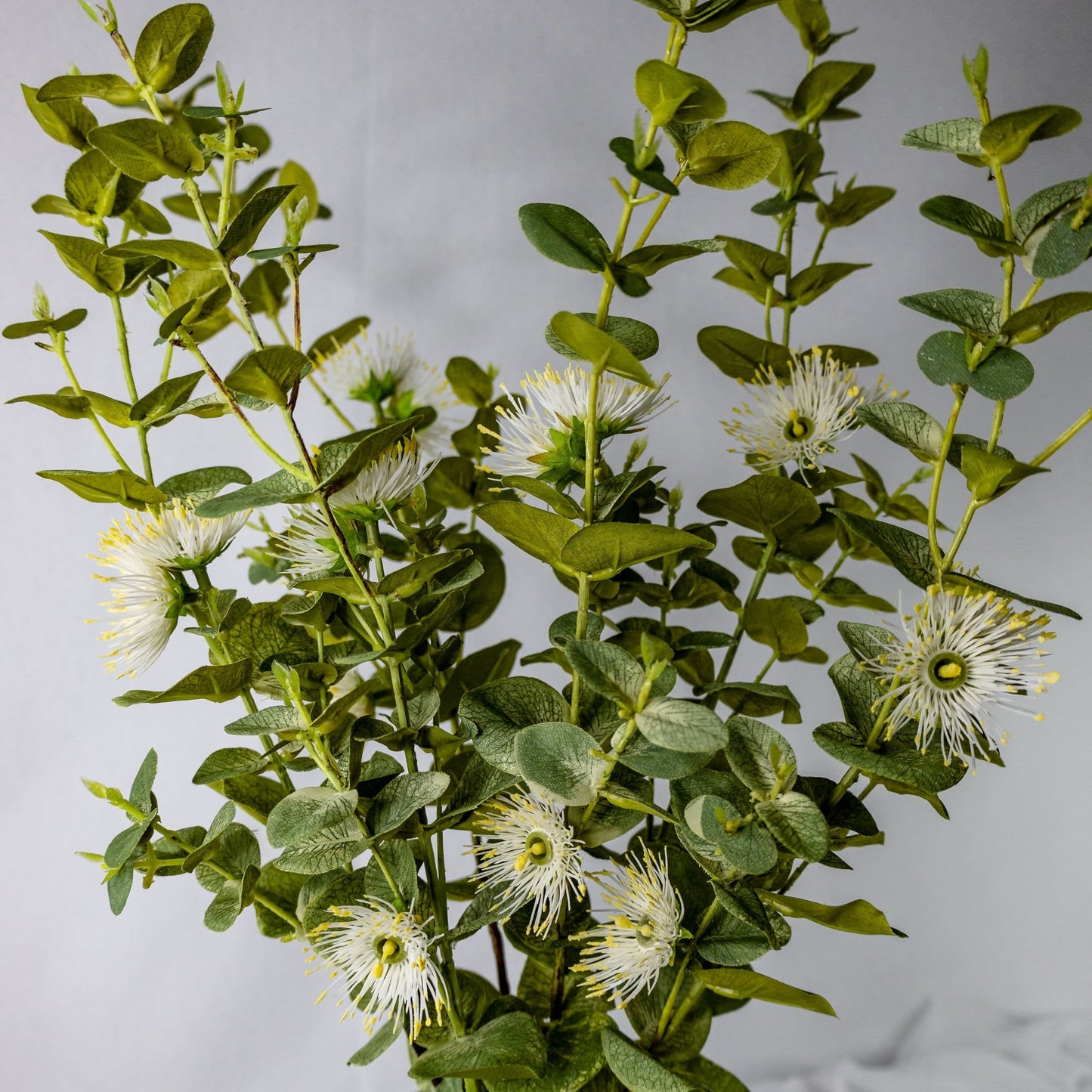 artificial white flowering gum blossom