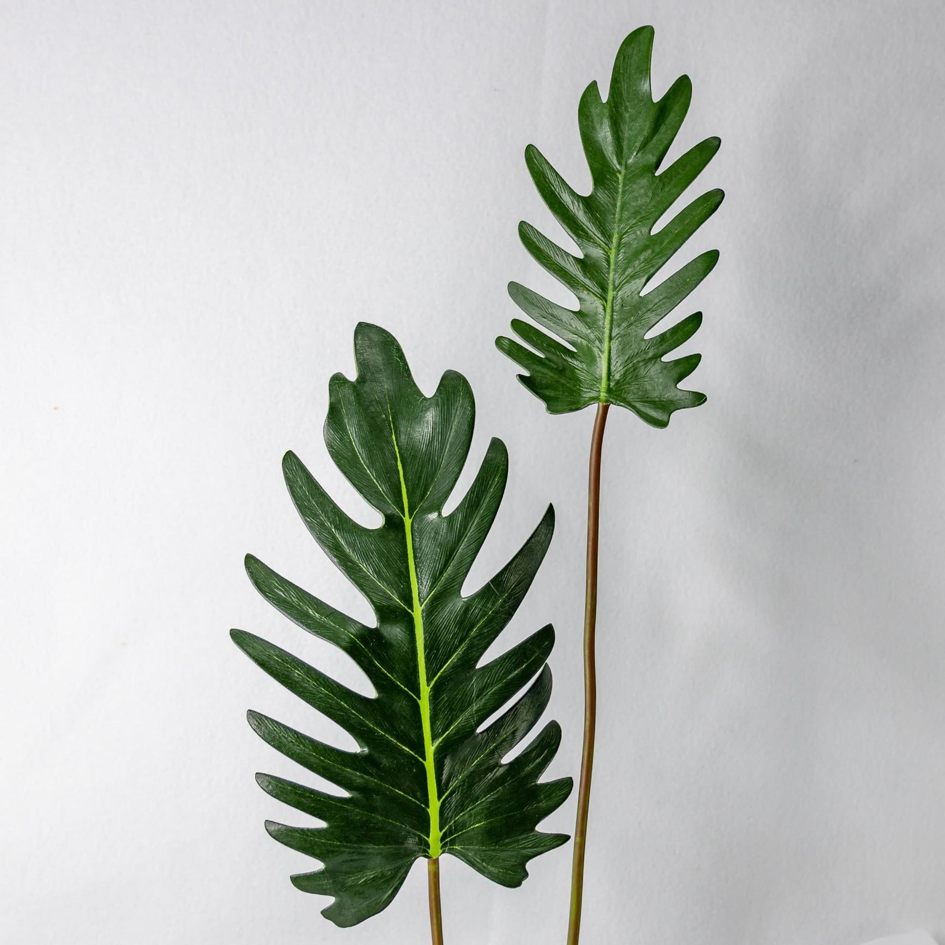 artificial small xandoo leaves