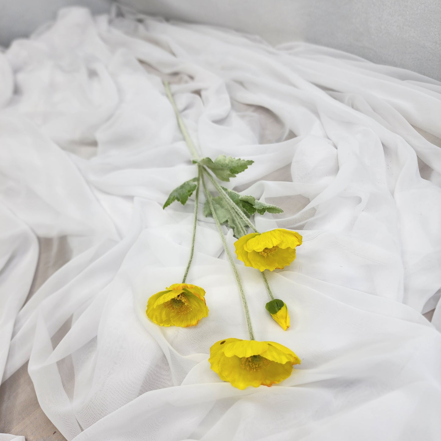 Icelandic Poppies Yellow