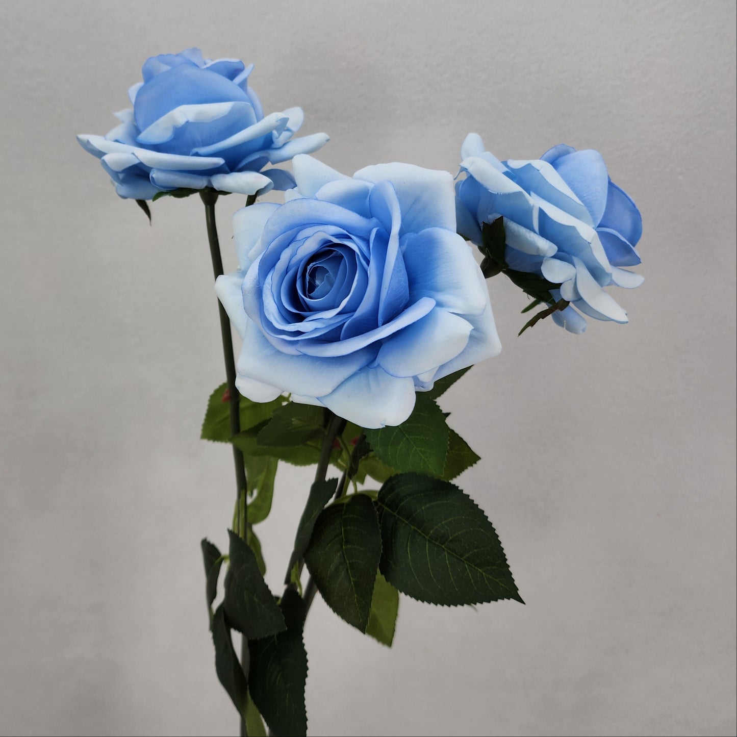 Ice Blue Royal Real Touch Rose