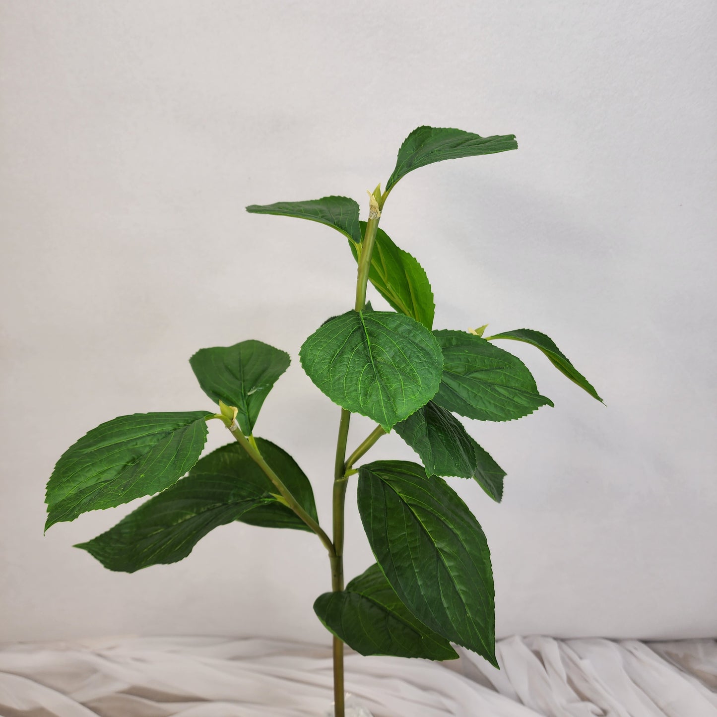 Hydrangea Leaf Spray