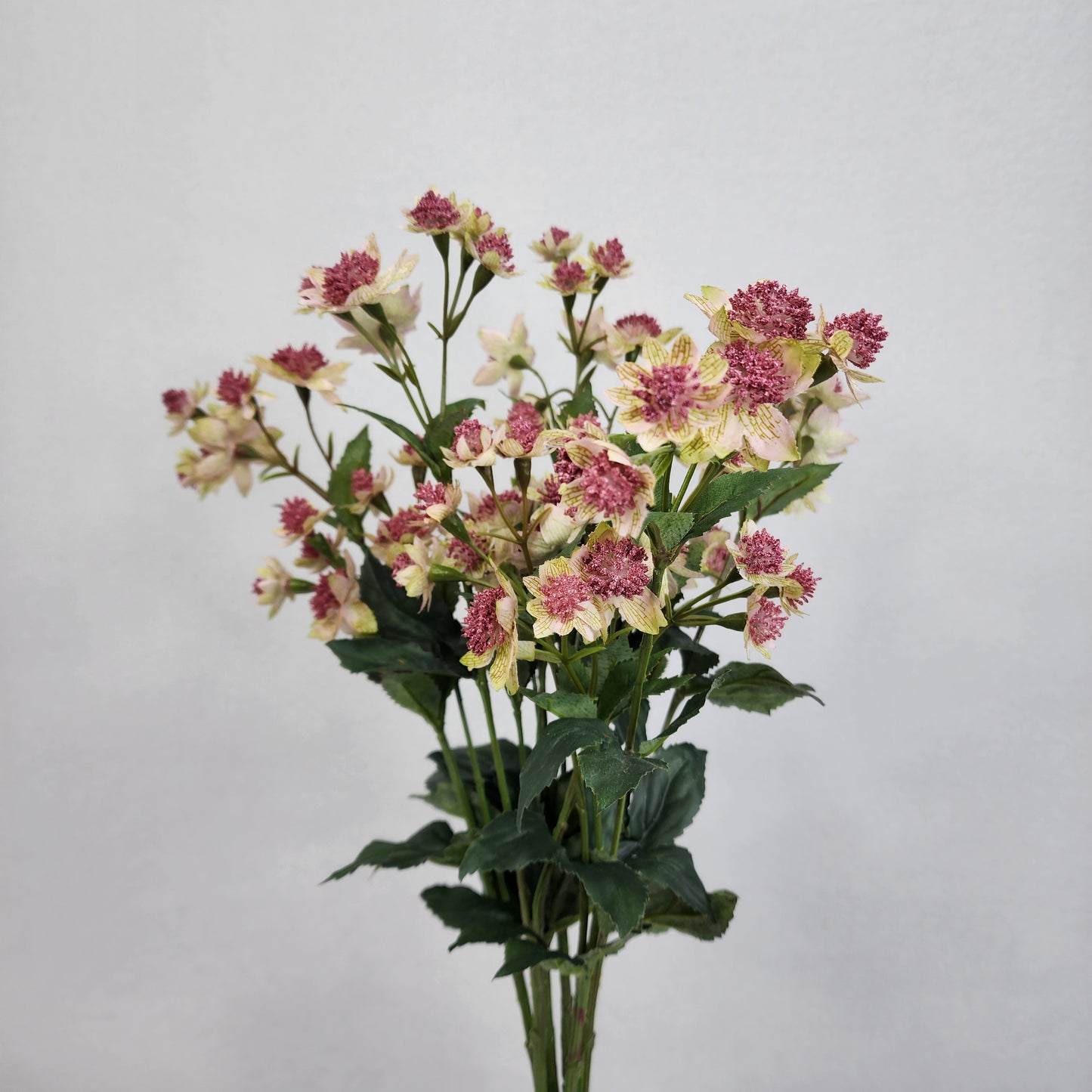 Astrania Pink - Realistic Artificial Flowers