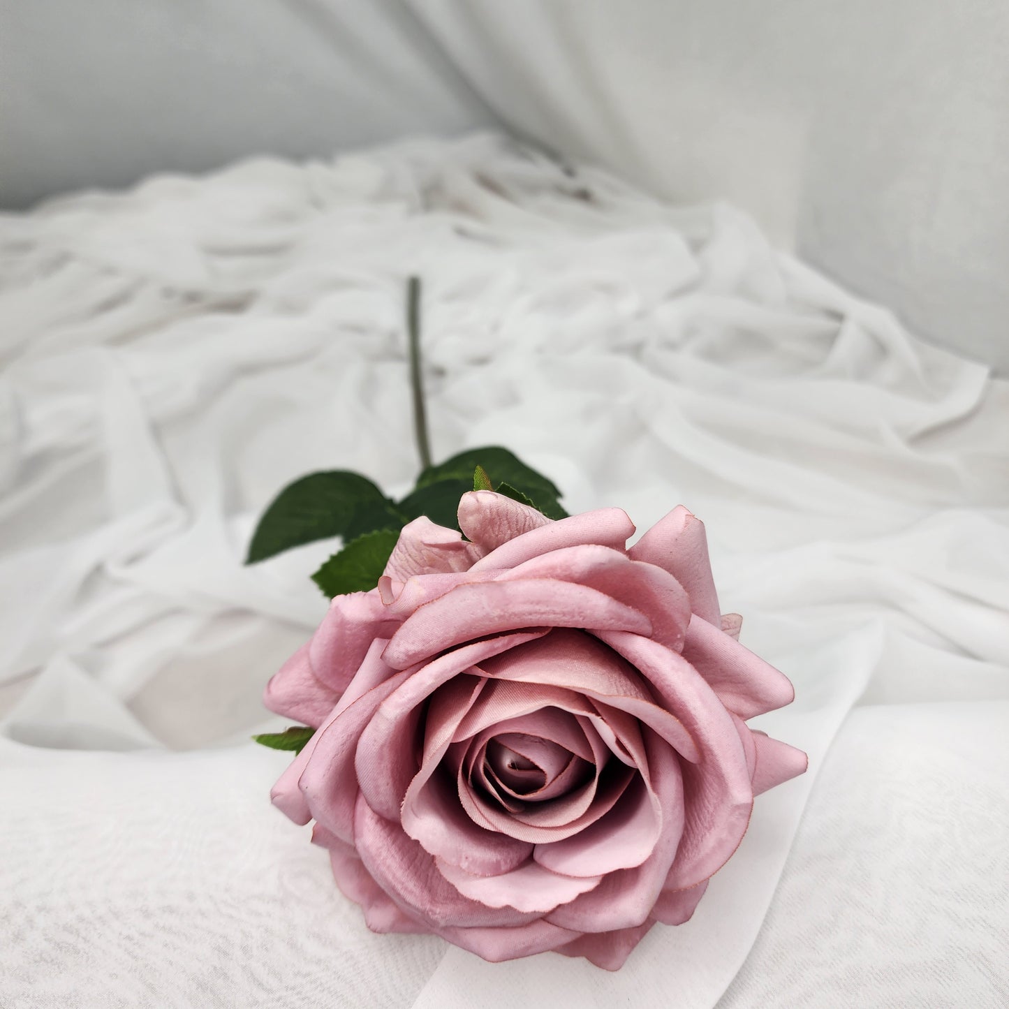 Dusty Pink Royal Real Touch Rose