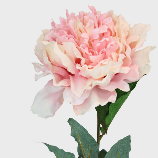 Large Pale Pink Peony Silk -Realistic Artificial Flowers