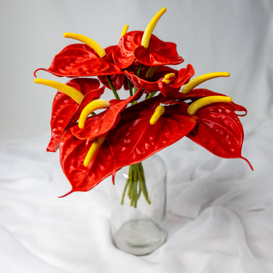 Anthurium Small Red  - Realistic Artificial Flowers