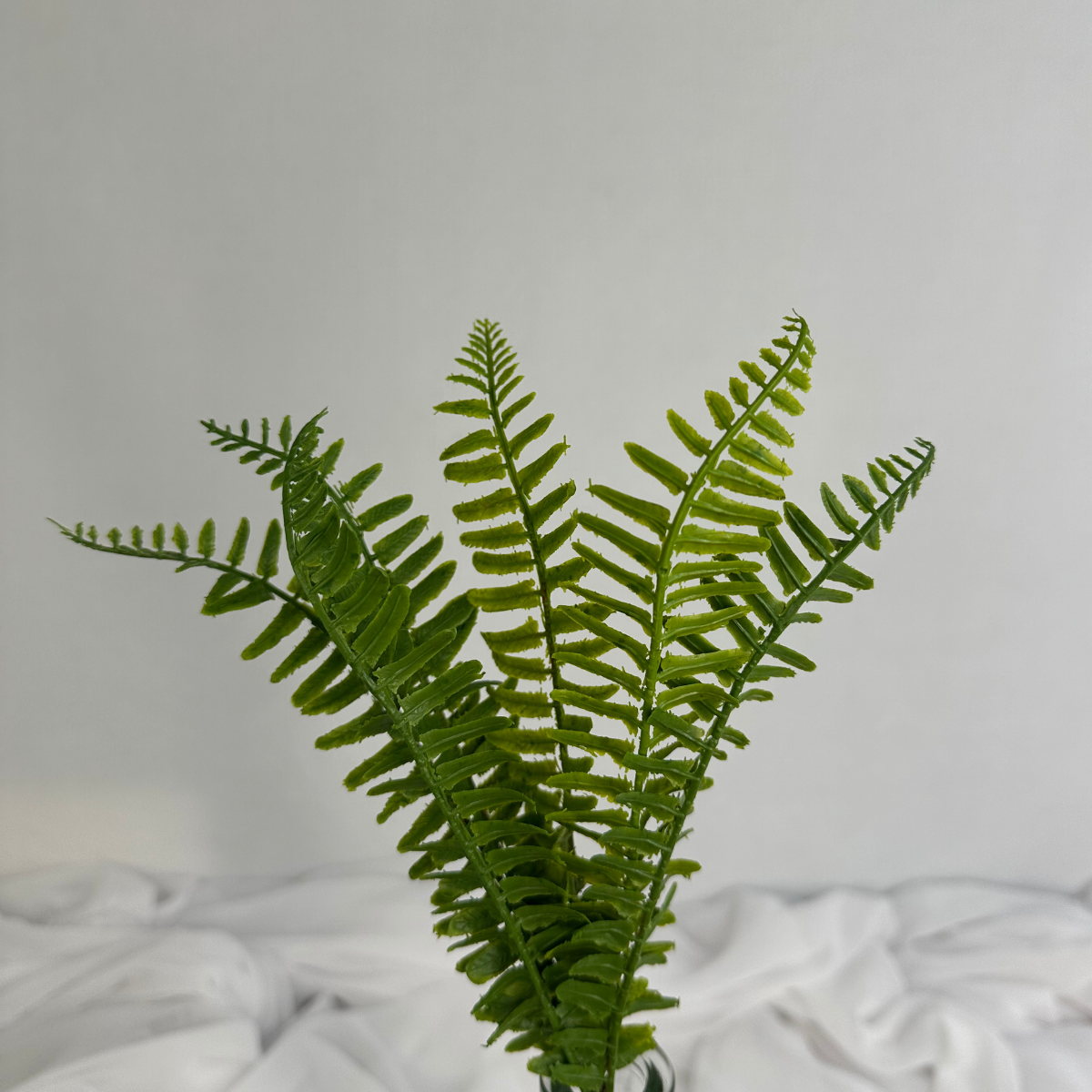 Artificial Boston Fern Stem Lifelike Greenery for Arrangements