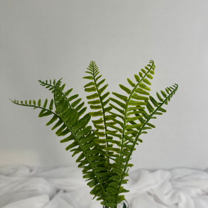 Artificial Boston Fern Stem Lifelike Greenery for Arrangements