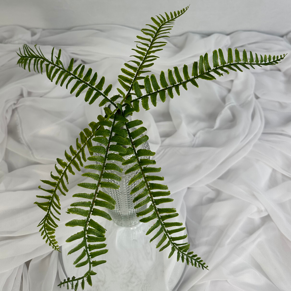 Artificial Boston Fern Stem Lifelike Greenery for Arrangements