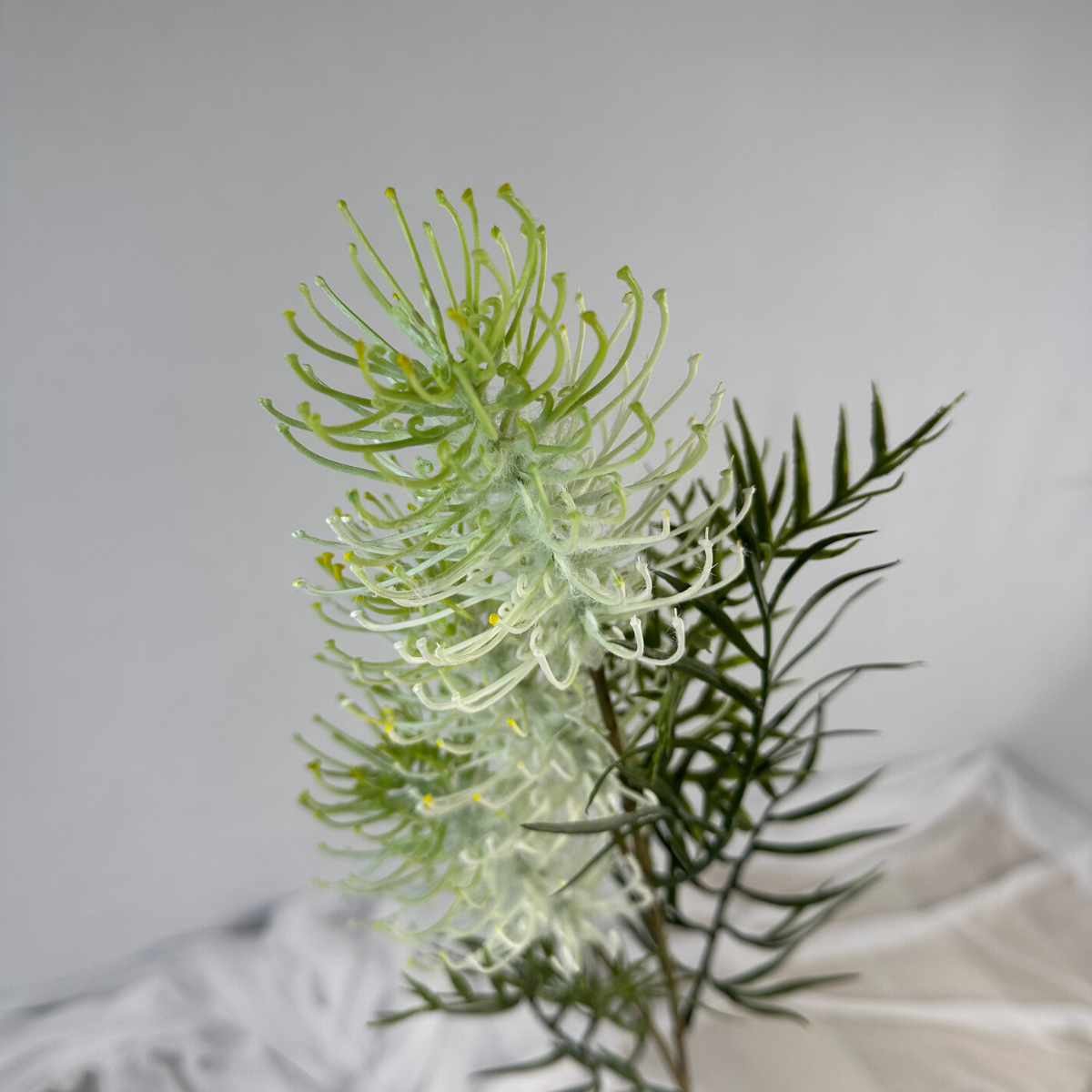 Grevillea Flower Spray White - Realistic Artificial Flowers