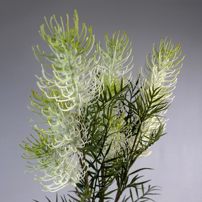 Grevillea Flower Spray White - Realistic Artificial Flowers