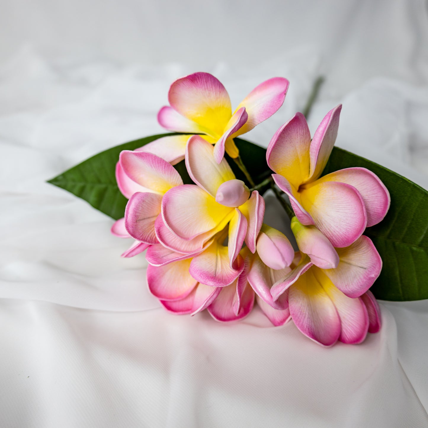 Classic Pink Frangipani Bunch - Realistic Artificial Flowers