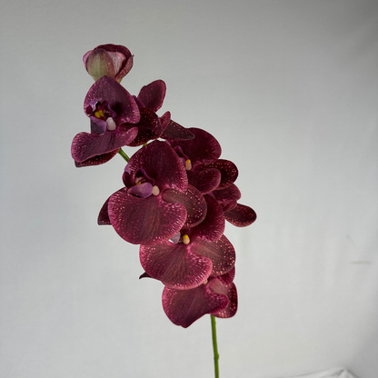Deep Burgundy Phalaenopsis Orchid Stem-Realistic Artificial Flowers