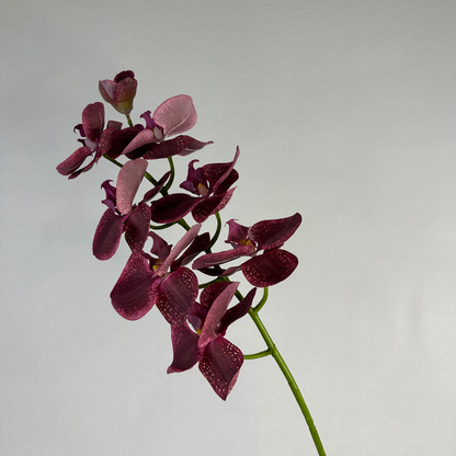 Deep Burgundy Phalaenopsis Orchid Stem-Realistic Artificial Flowers