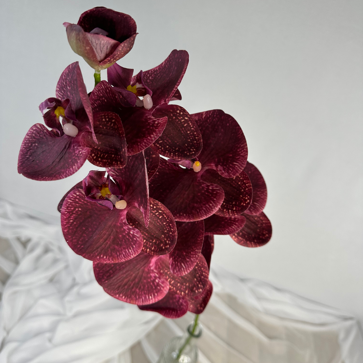 Deep Burgundy Phalaenopsis Orchid Stem-Realistic Artificial Flowers