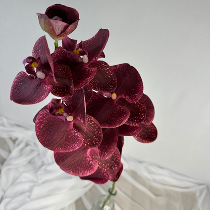 Deep Burgundy Phalaenopsis Orchid Stem-Realistic Artificial Flowers