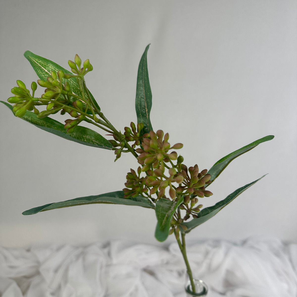 Eucalyptus Nut Spray version 2