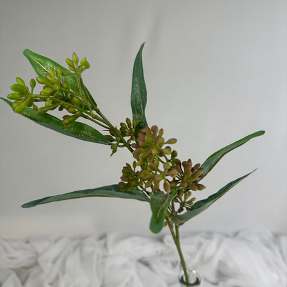 Eucalyptus Nut Spray version 2