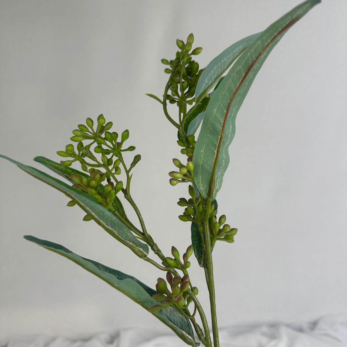 Eucalyptus Nut Spray version 2