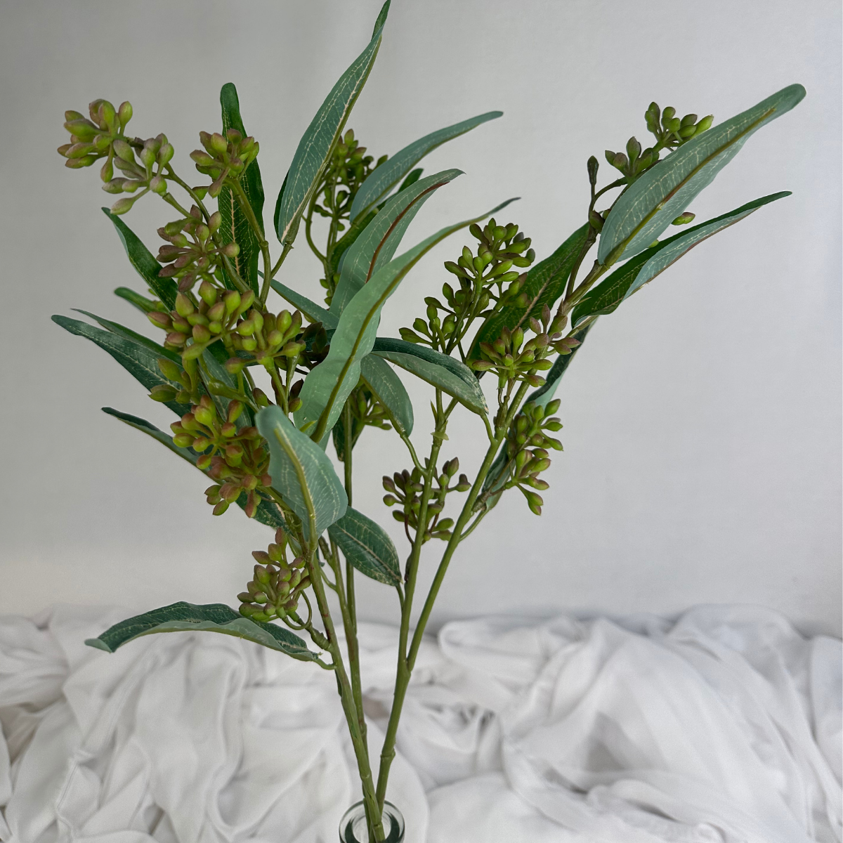 Eucalyptus Nut Spray version 2