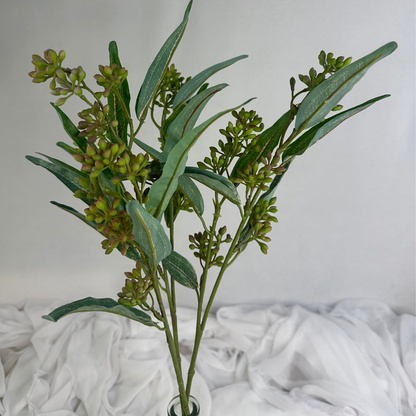 Eucalyptus Nut Spray version 2
