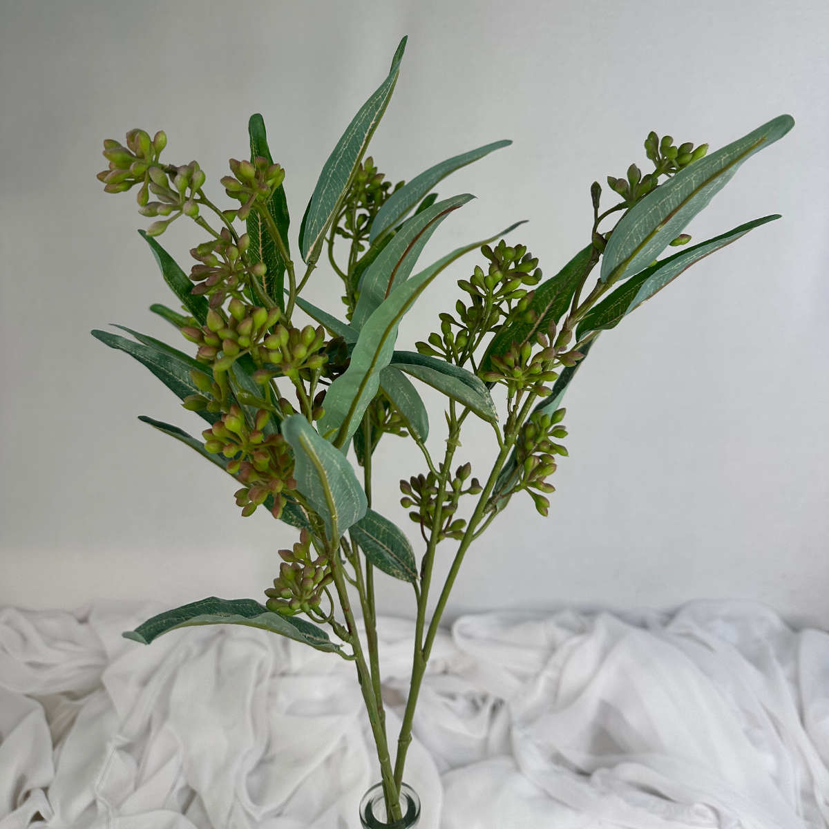 Eucalyptus Nut Spray version 2