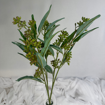 Eucalyptus Nut Spray version 2