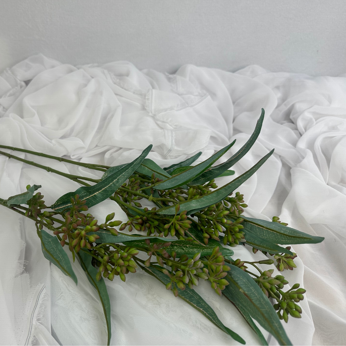 Eucalyptus Nut Spray version 2