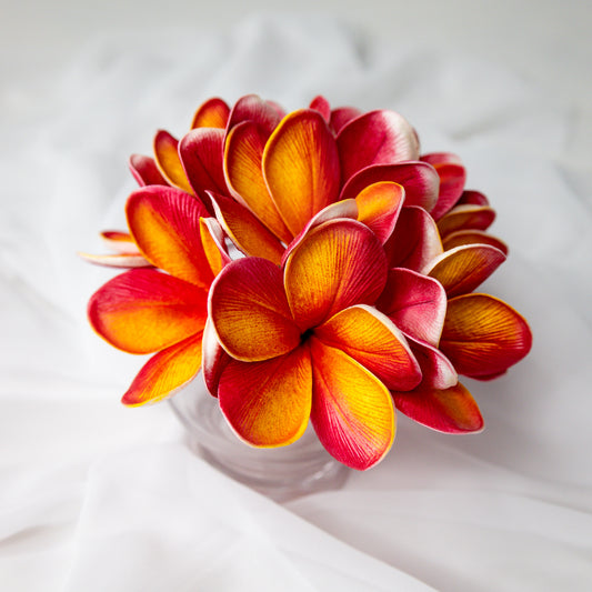Tropical Frangipani Flowerhead ( 6 Pack ) - Realistic Artificial Flowers