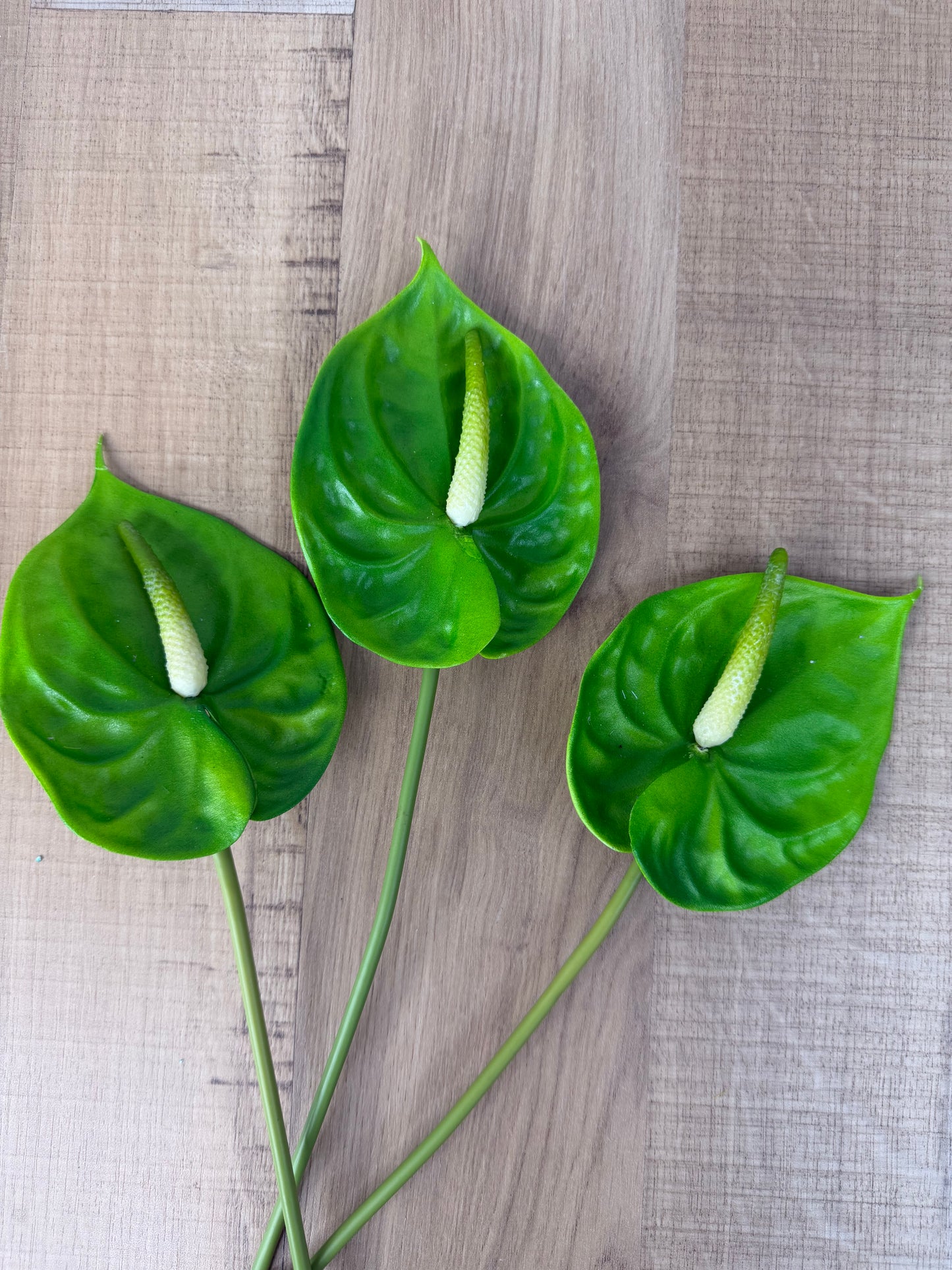 Green Small Anthurium
