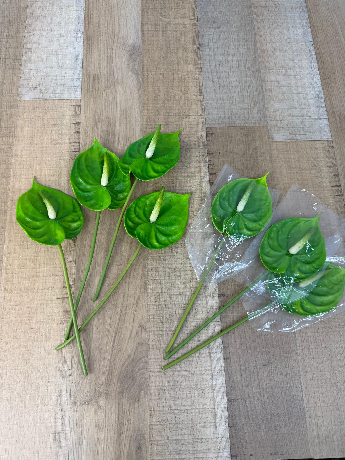 Green Small Anthurium