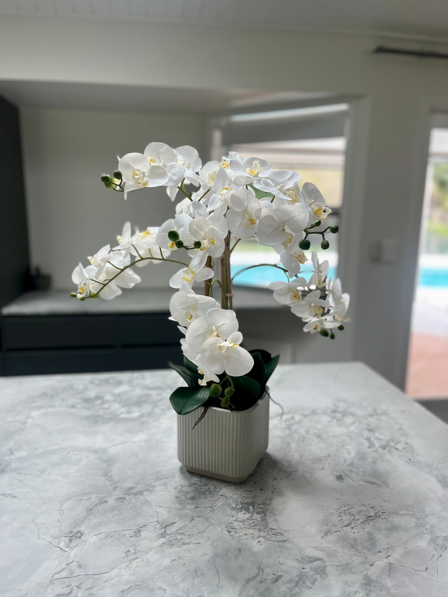Real Touch Orchid Plant - Realistic Artificial Flowes