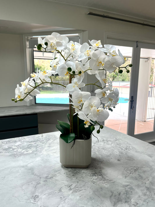 Real Touch Orchid Plant - Realistic Artificial Flowes