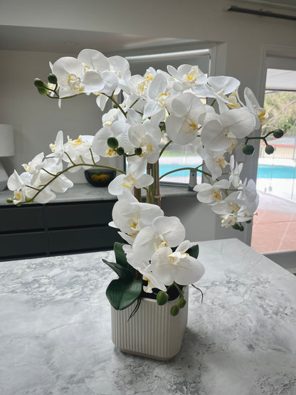Real Touch Orchid Plant - Realistic Artificial Flowes