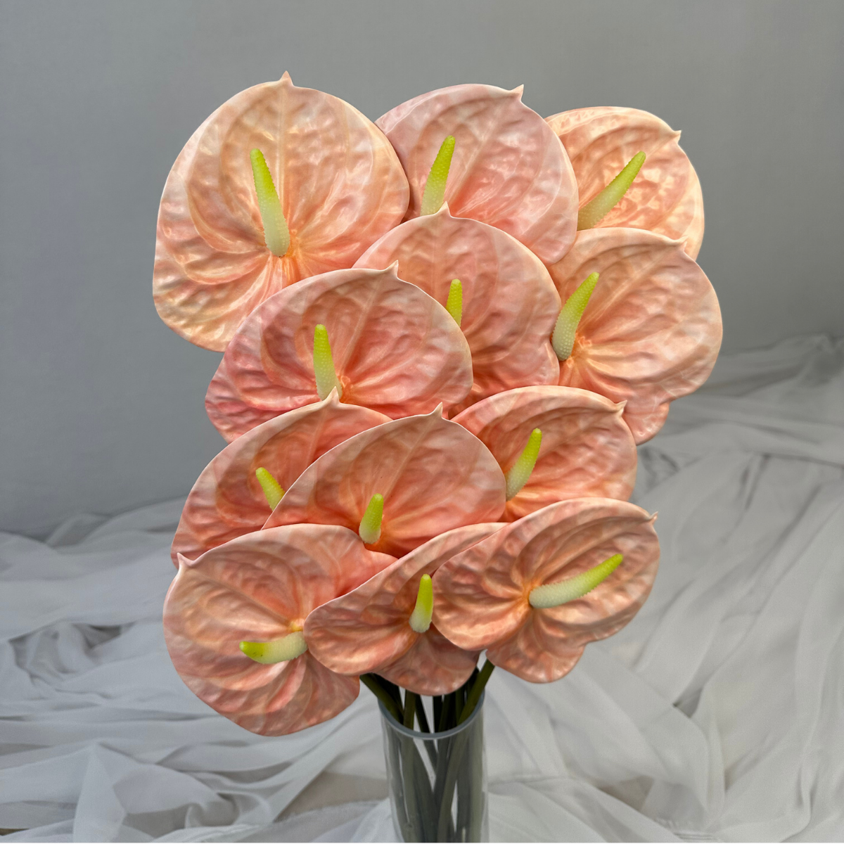 Pink Anthurium