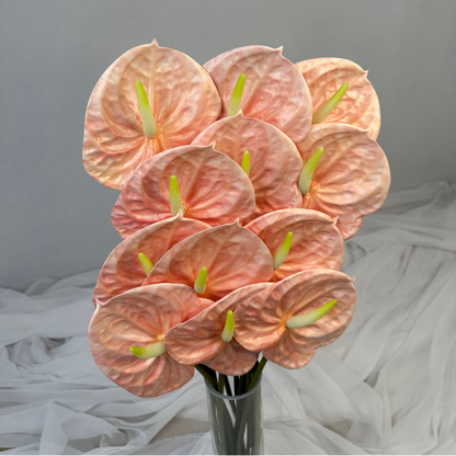 Pink Anthurium