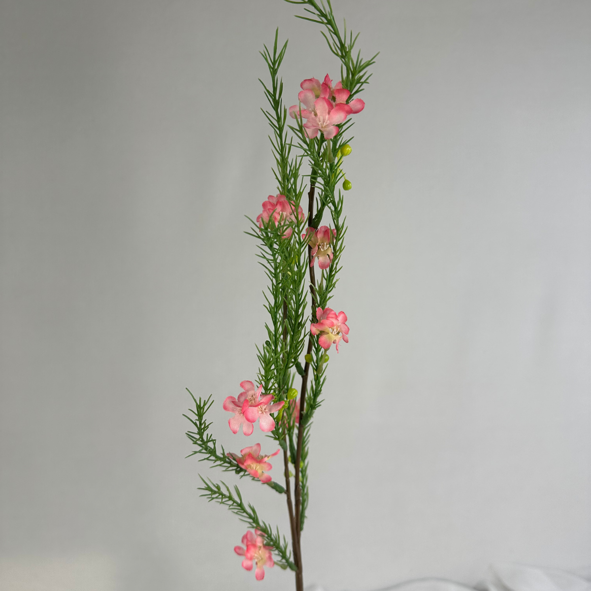 Pink Geraldton Wax Spray Silk – Realistic Artificial Flowers