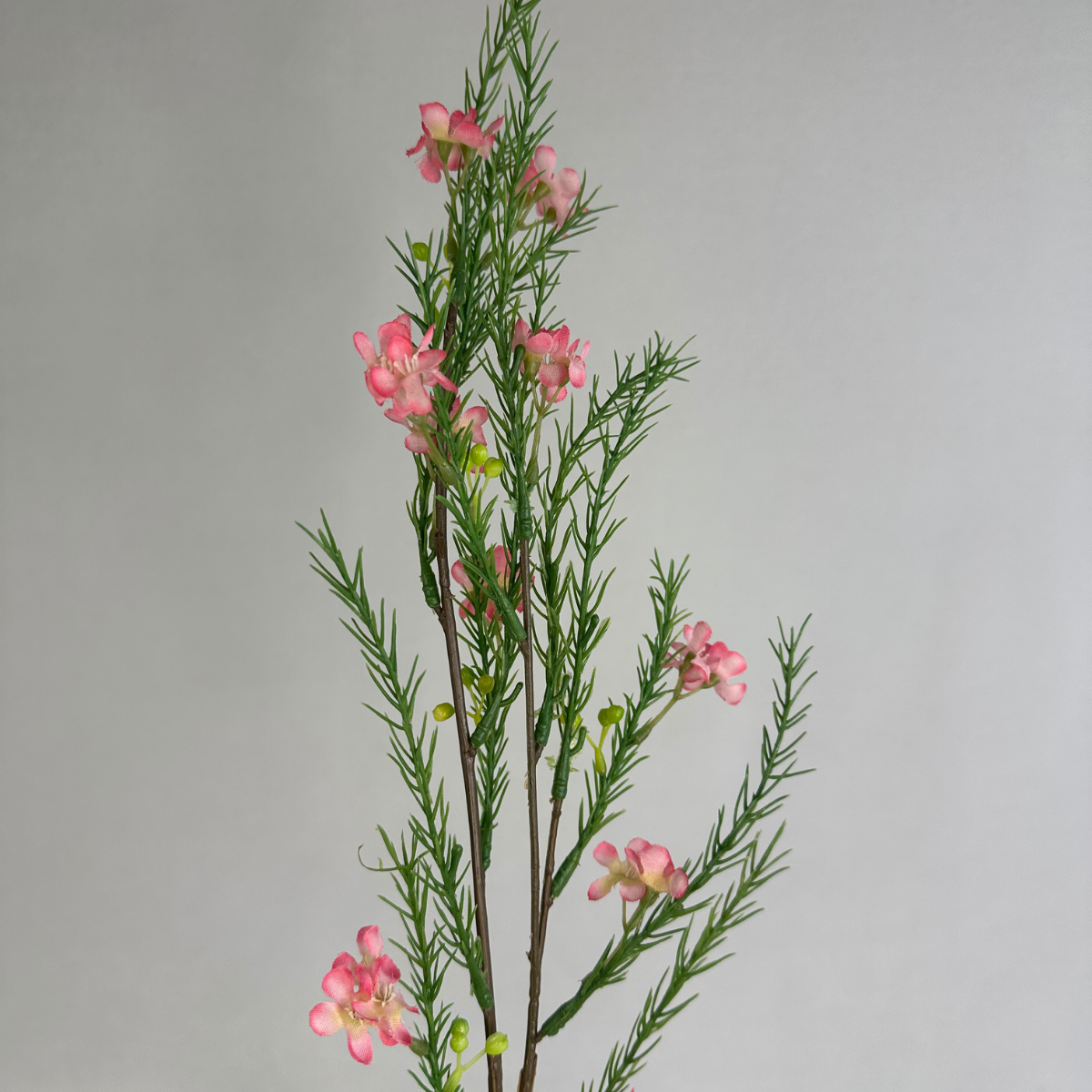 Pink Geraldton Wax Spray Silk – Realistic Artificial Flowers