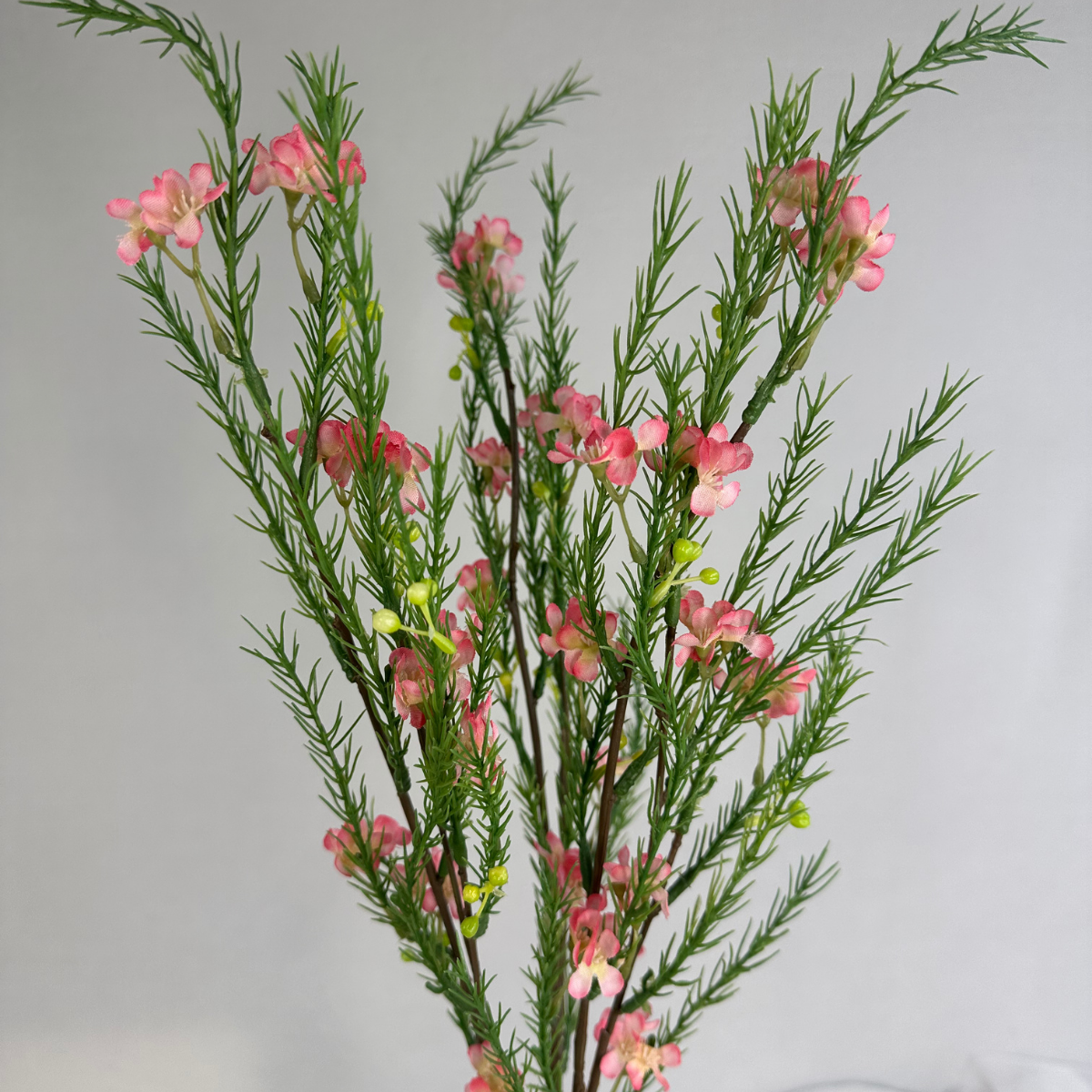 Pink Geraldton Wax Spray Silk – Realistic Artificial Flowers