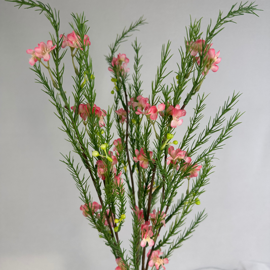 Pink Geraldton Wax Spray Silk – Realistic Artificial Flowers