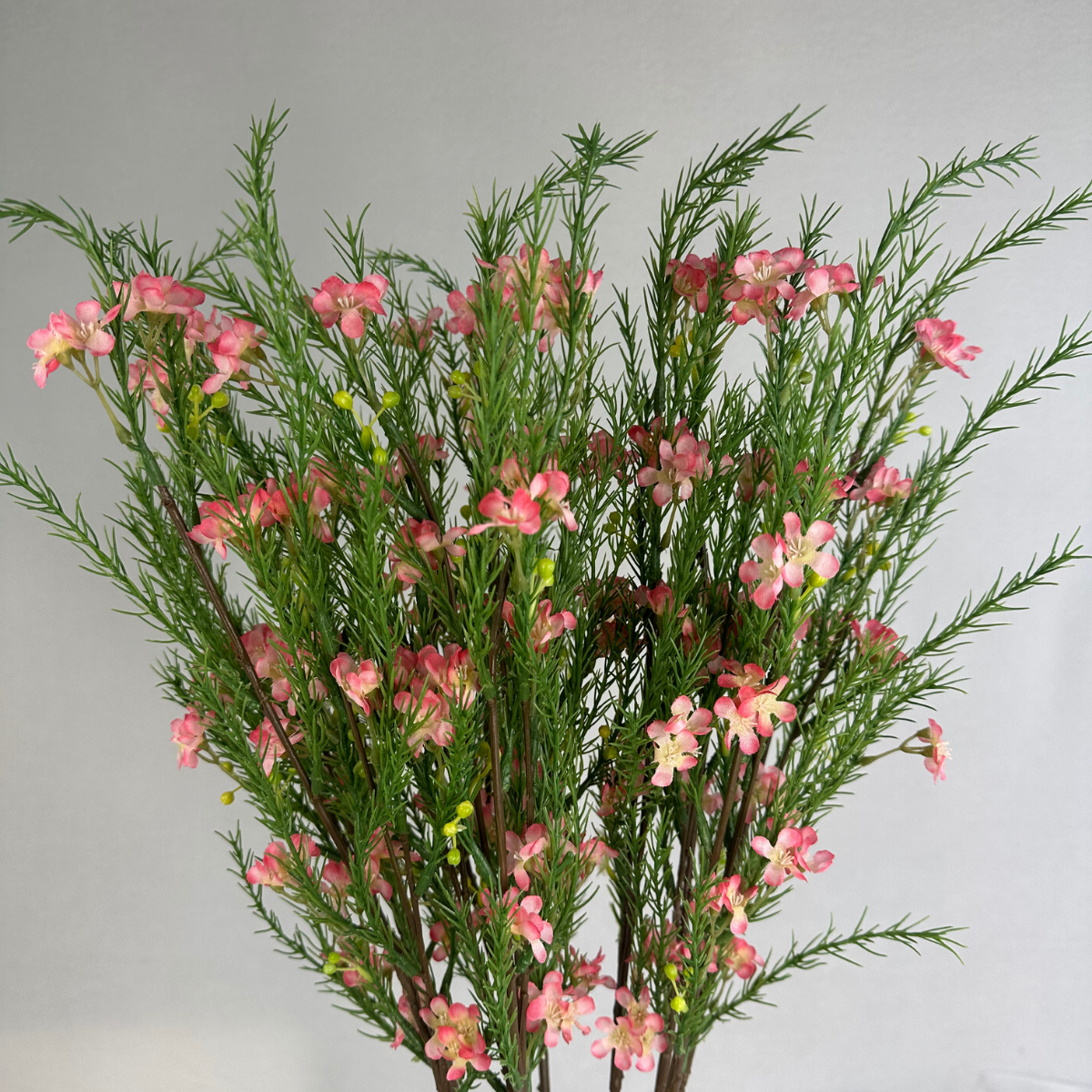 Pink Geraldton Wax Spray Silk – Realistic Artificial Flowers
