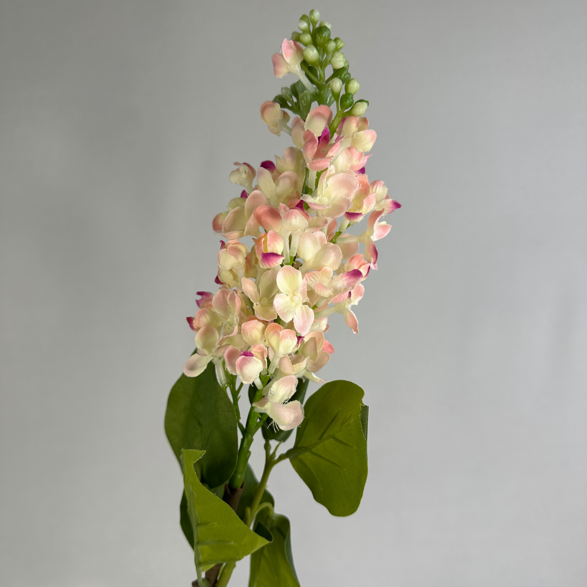 Blush Pink-Tipped Lilac Silk Stem – Realistic Artificial Flowers
