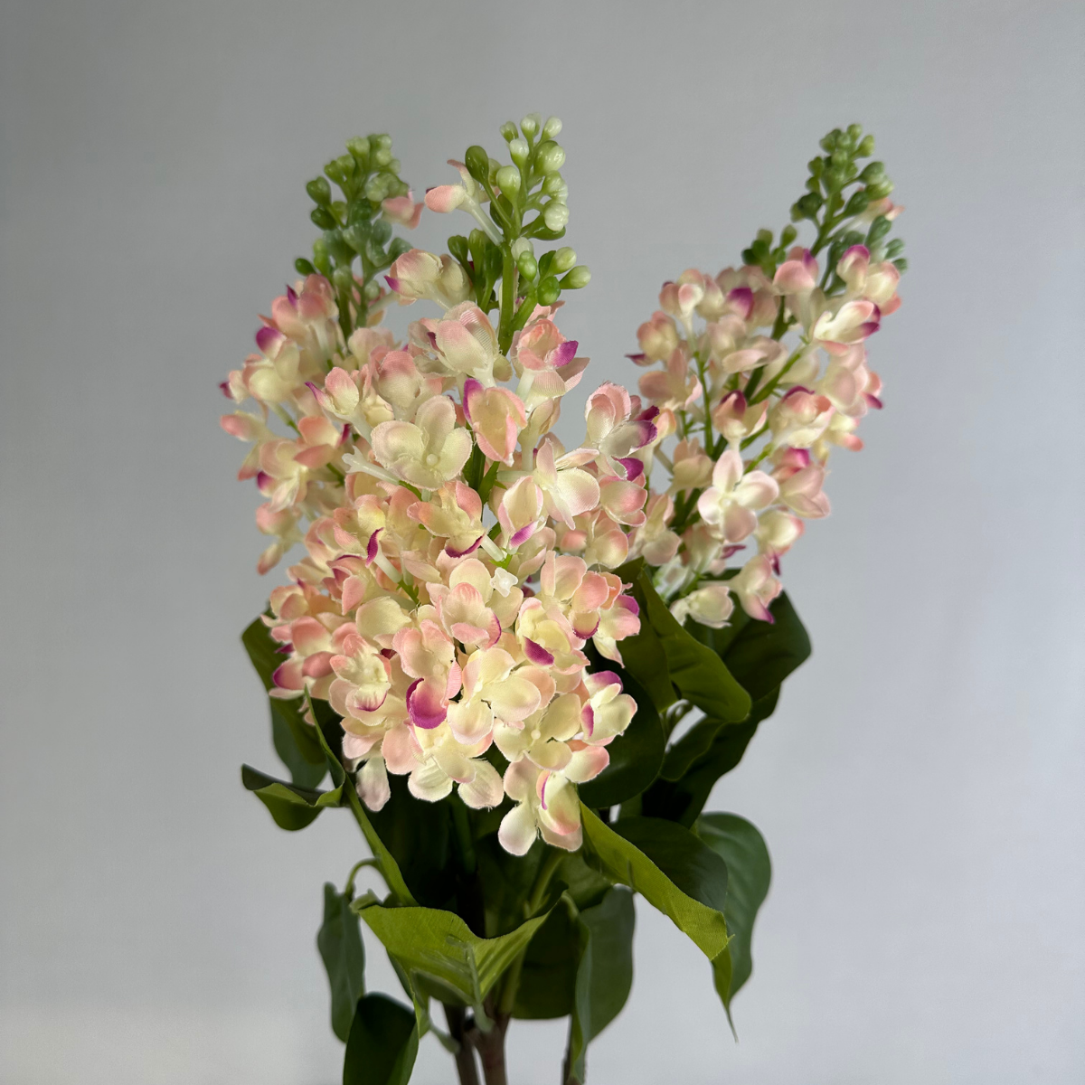 Blush Pink-Tipped Lilac Silk Stem – Realistic Artificial Flowers