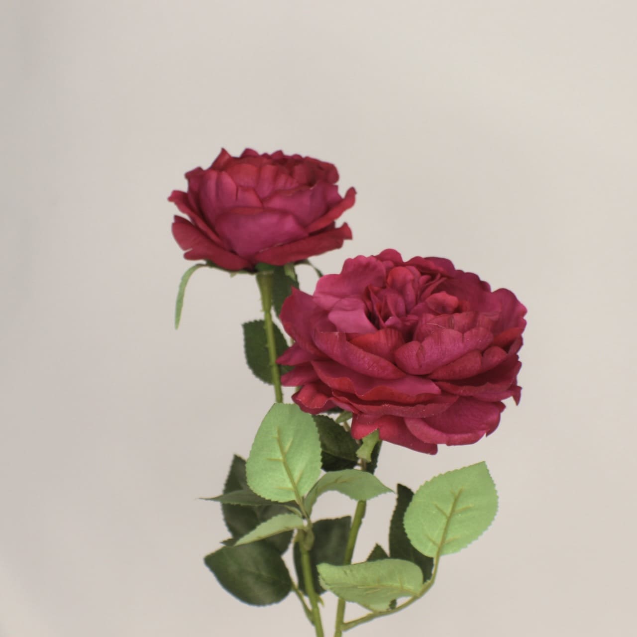 artificial cranberry david Austin roses 