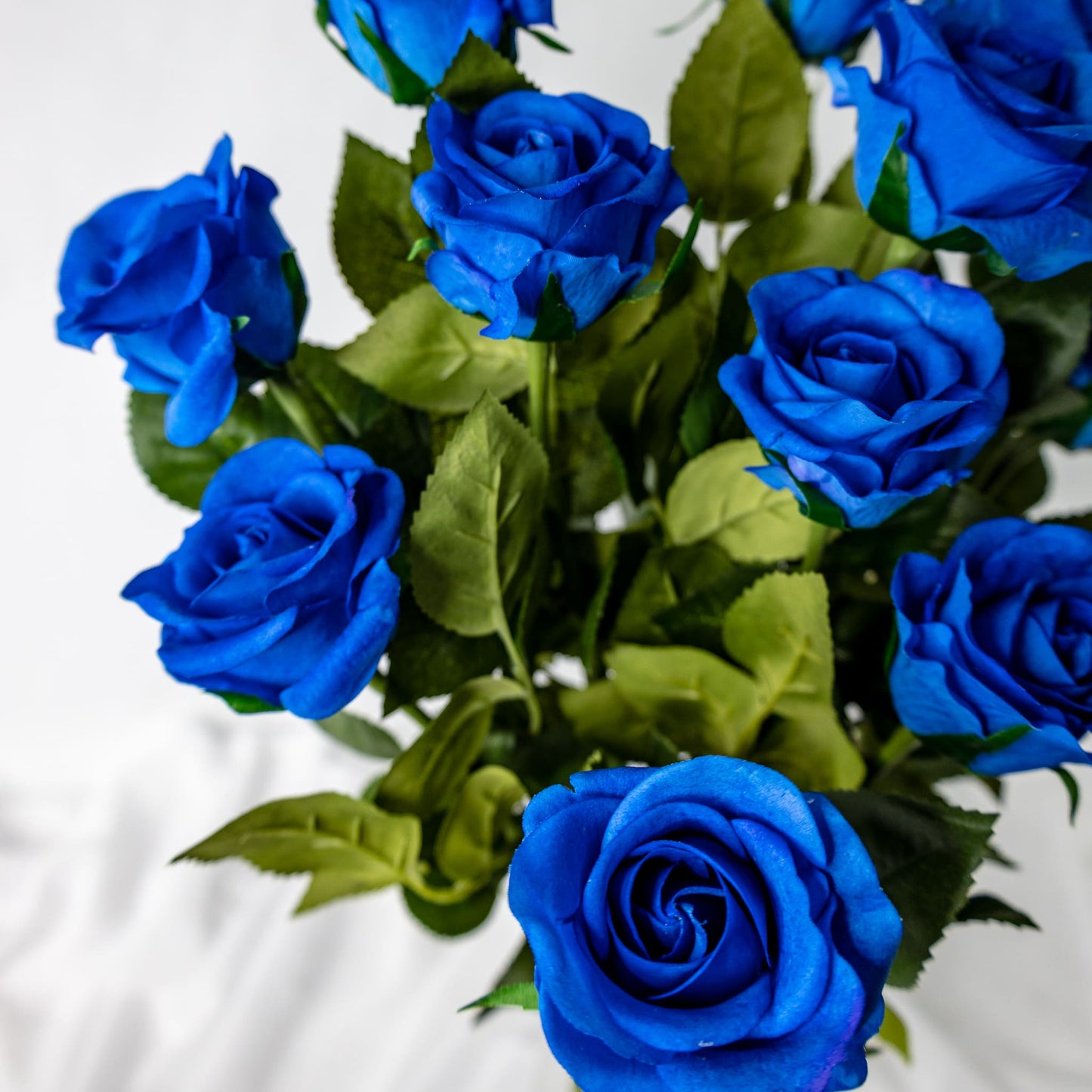 artificial deep blue roses in half bloom top view
