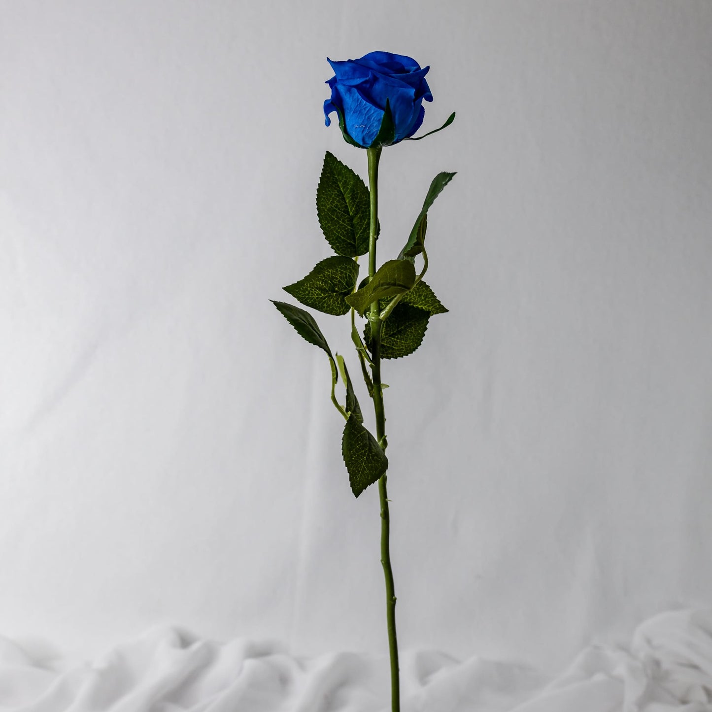 artificial deep blue rose in half bloom